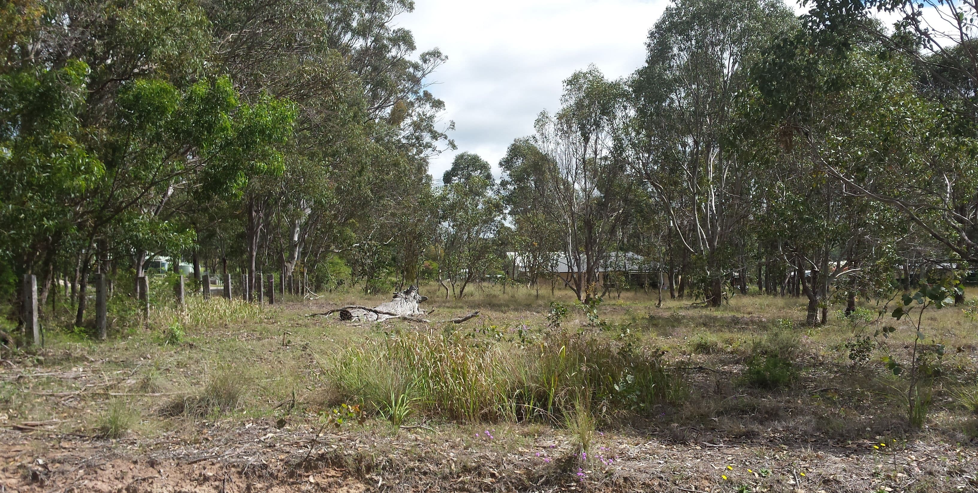 2 Chas Road, Crows Nest QLD 4355, Crows Nest - Image 1