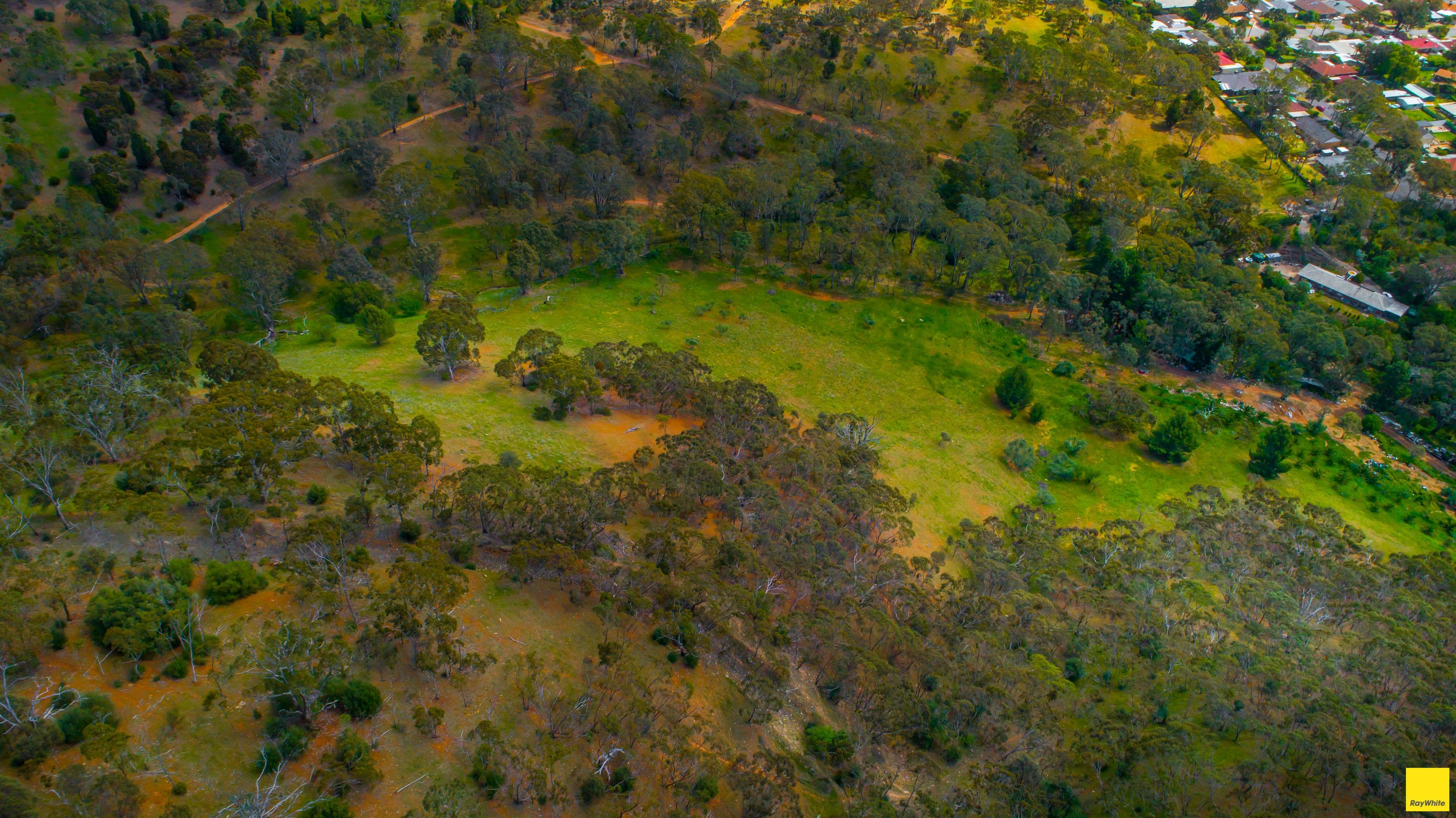30 Joann Street, Athelstone SA 5076, Athelstone - Thumbnail 2