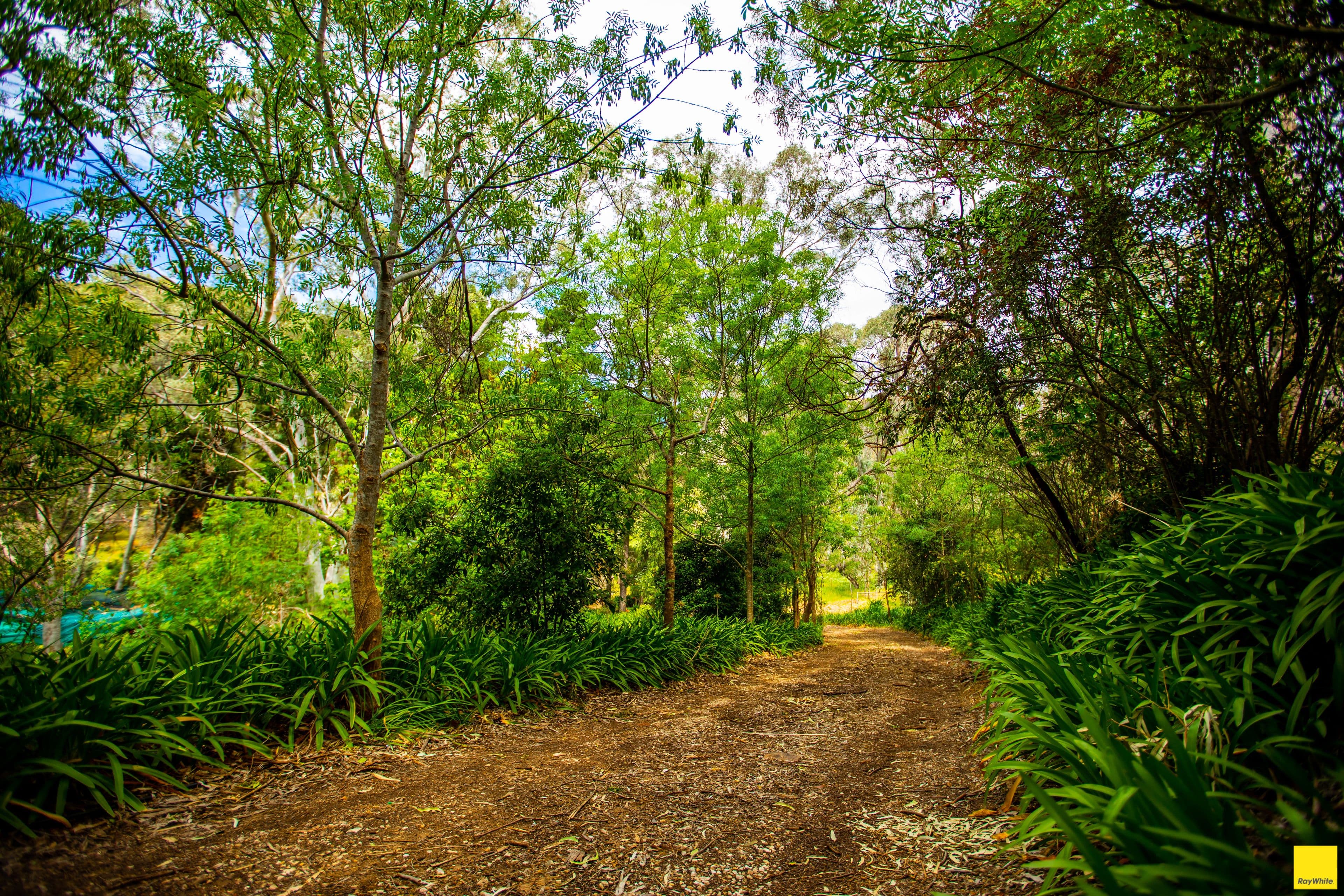 30 Joann Street, Athelstone SA 5076, Athelstone - Thumbnail 3