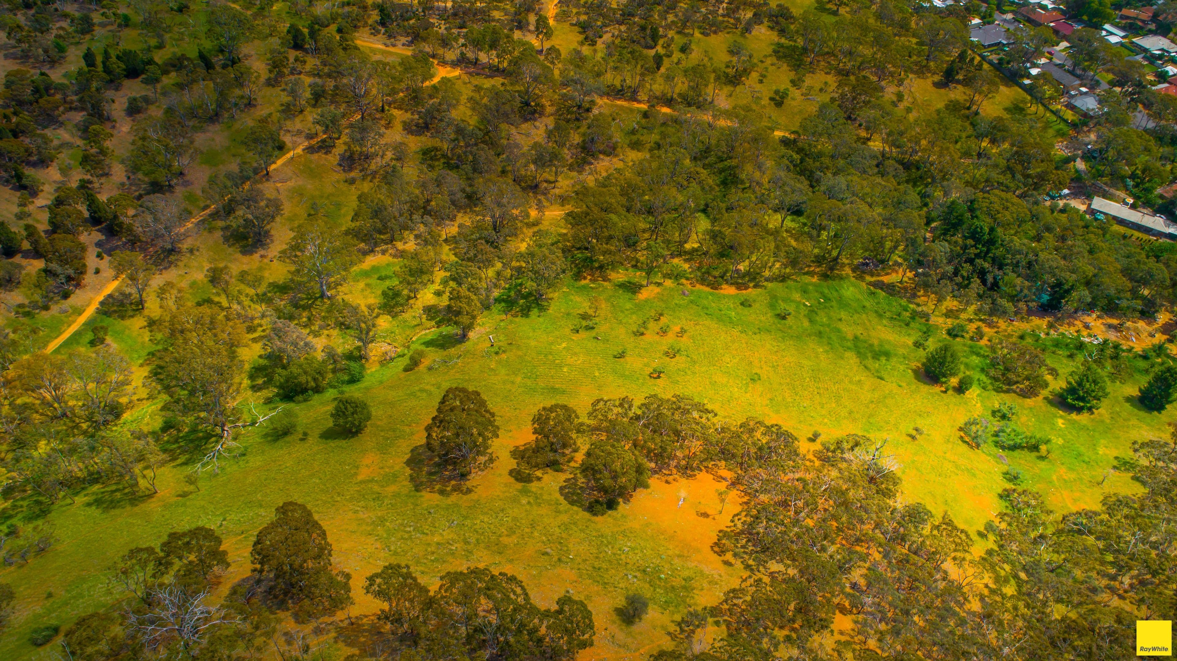 30 Joann Street, Athelstone SA 5076, Athelstone - Thumbnail 5