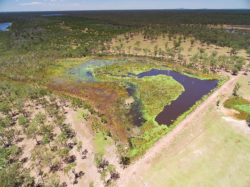 Lot 1 Grabbe Road, Burgowan QLD 4659, Burgowan - Image 1