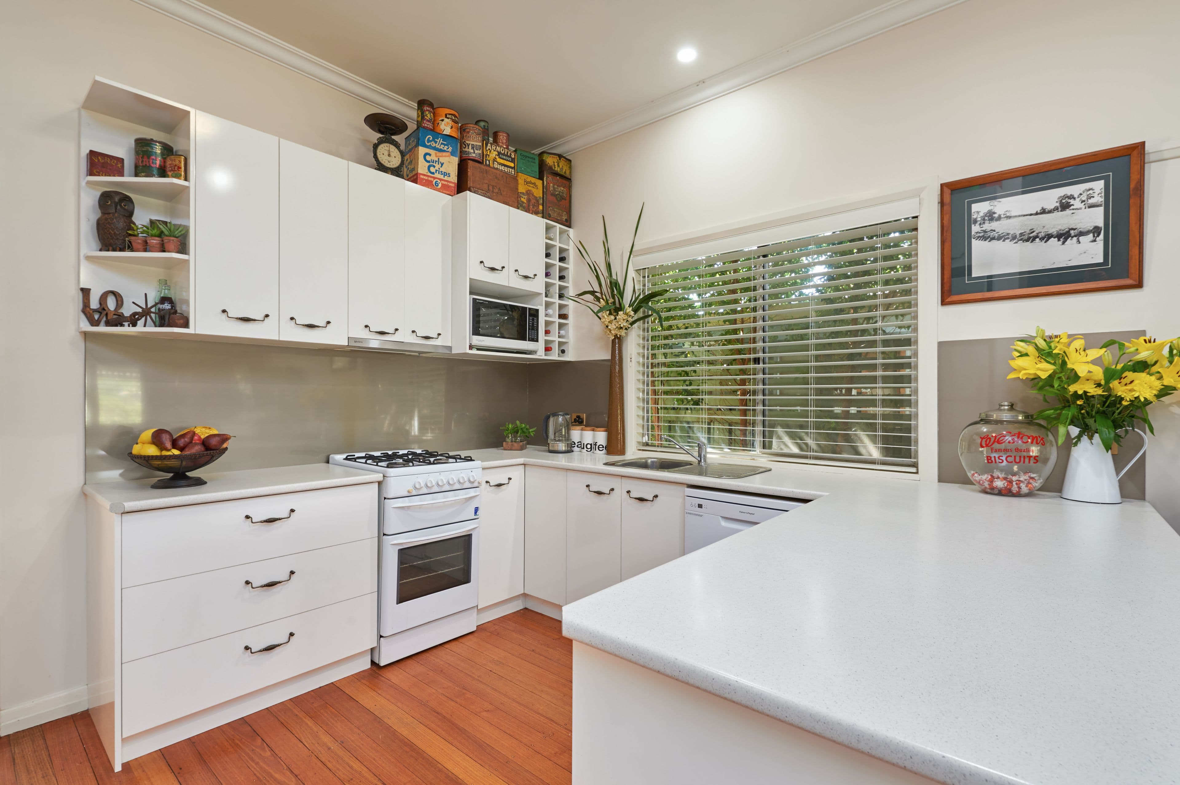 33 Evans Street, Wagga Wagga - Thumbnail 2