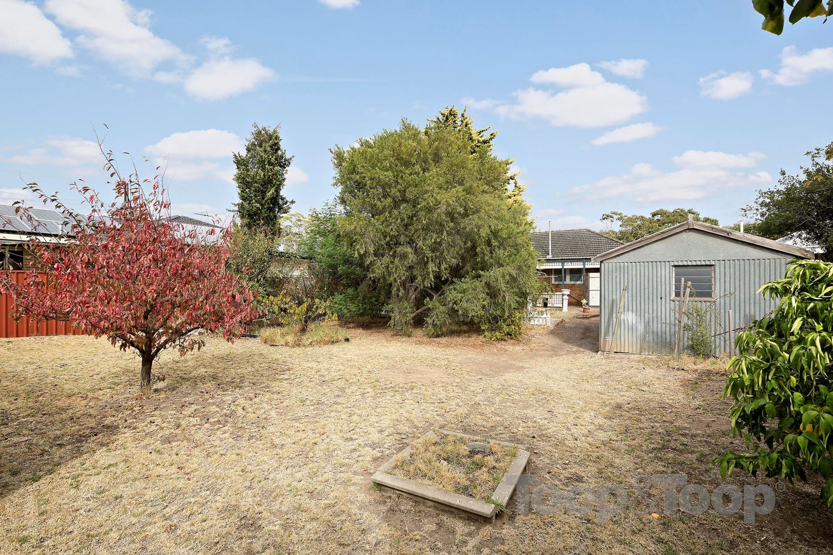 13 York Avenue, Clovelly Park SA 5042, Clovelly Park - Thumbnail 8