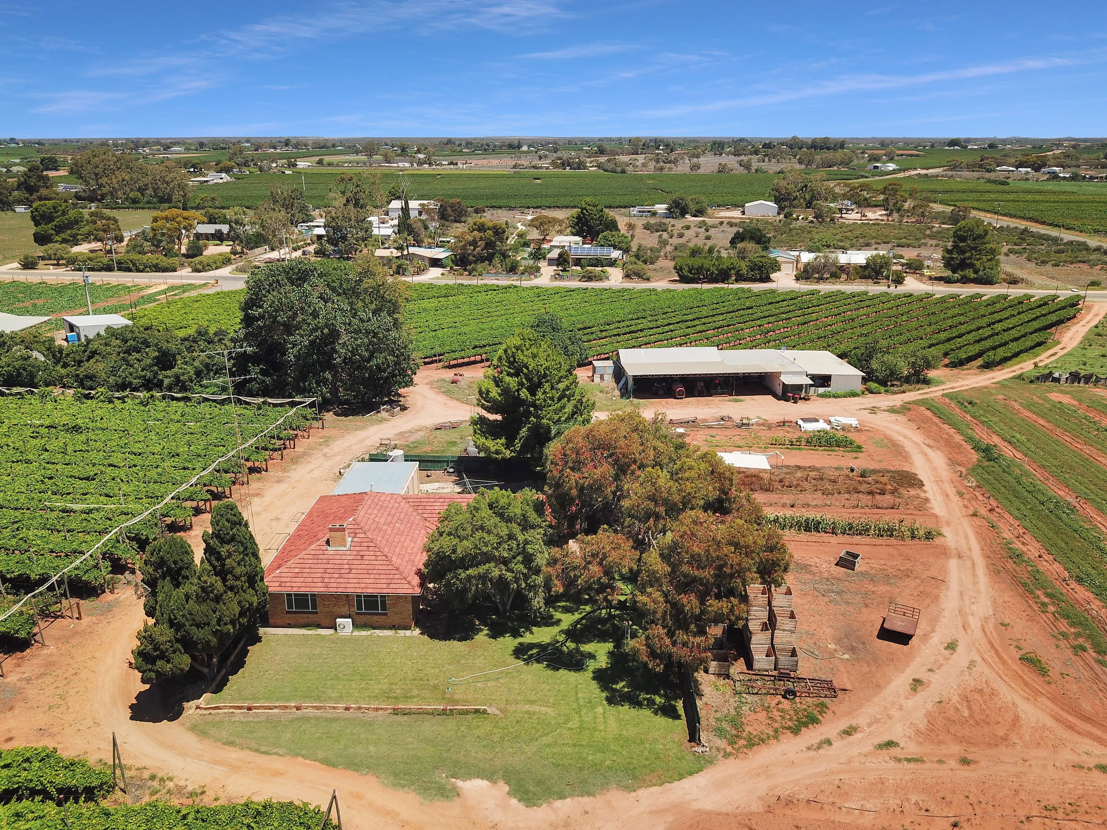 17404 Sturt Highway, Barmera SA 5345, Barmera - Thumbnail 3