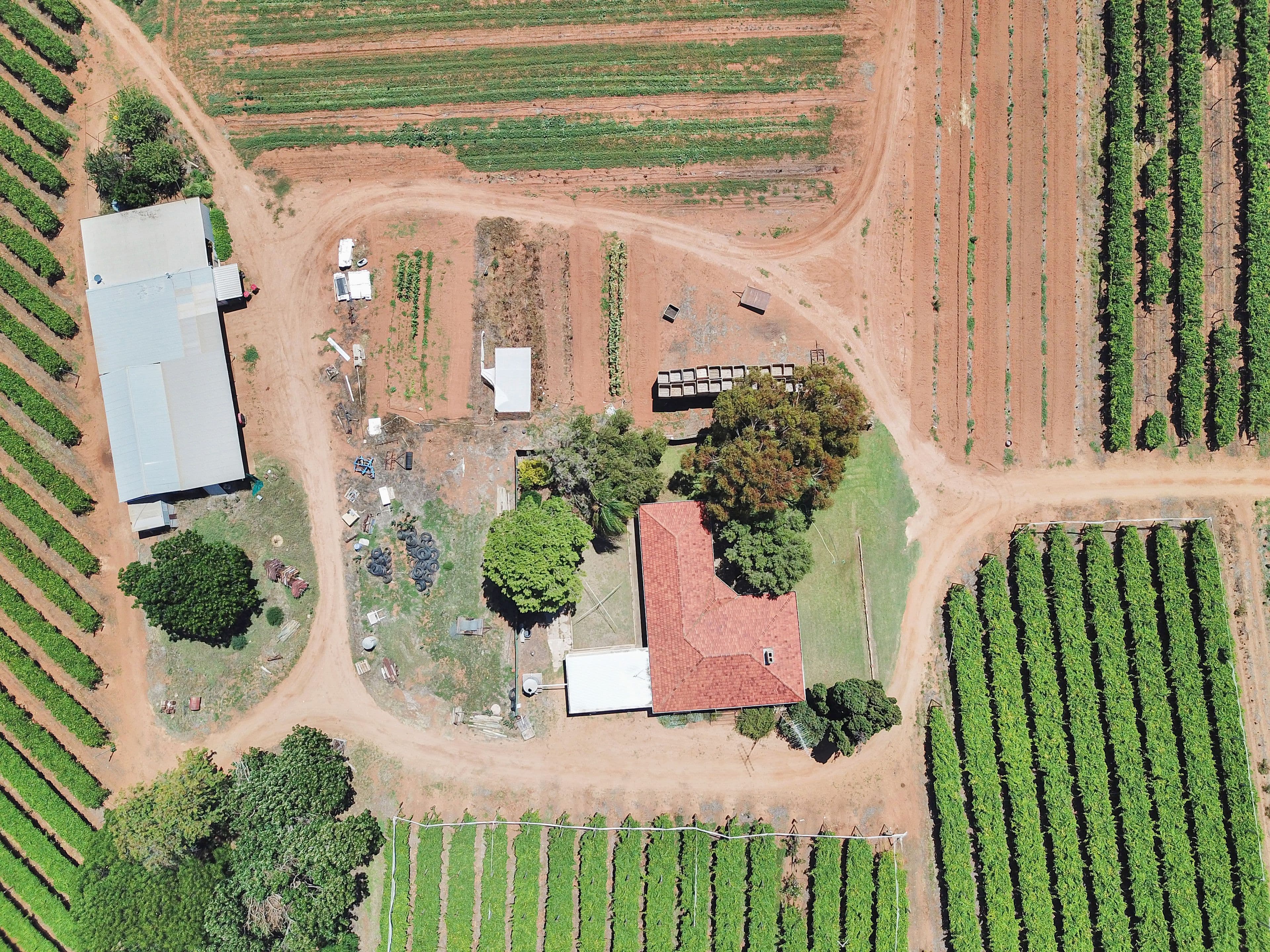 17404 Sturt Highway, Barmera SA 5345, Barmera - Thumbnail 4