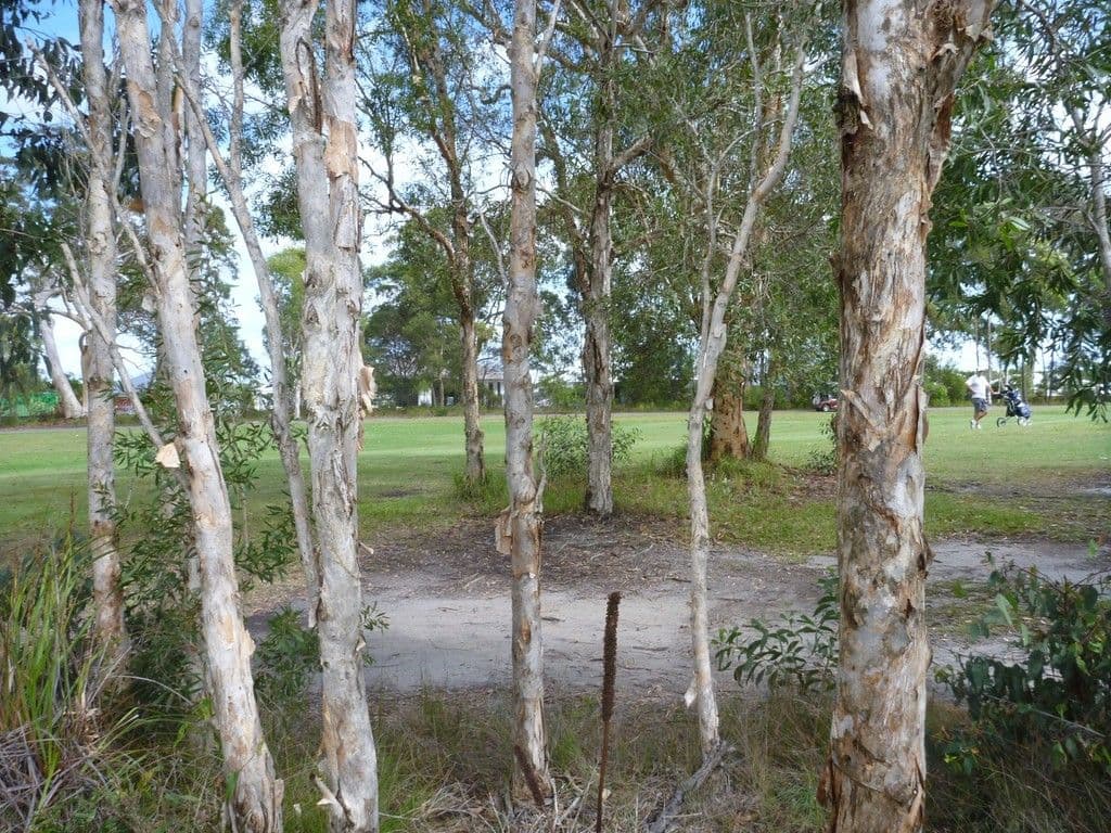 176 Balgownie Drive, Peregian Springs QLD 4573, Peregian Springs - Thumbnail 2