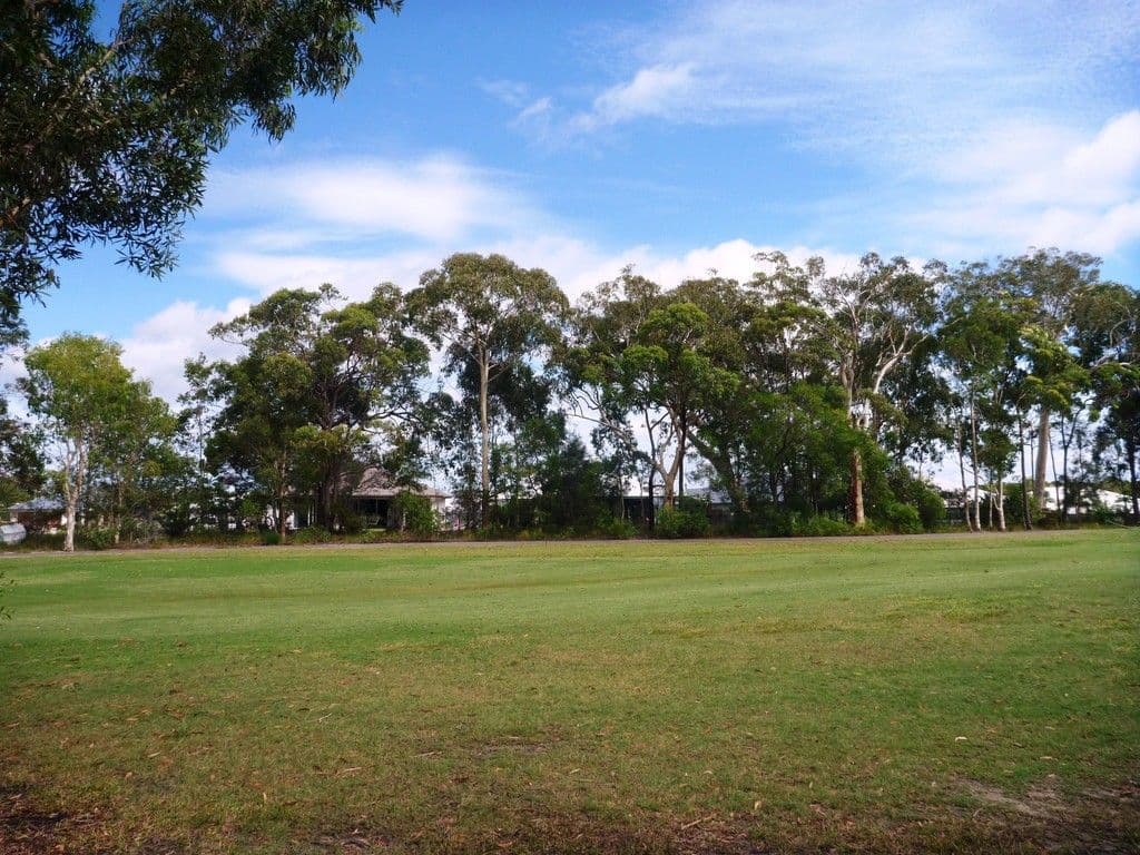 176 Balgownie Drive, Peregian Springs QLD 4573, Peregian Springs - Thumbnail 4