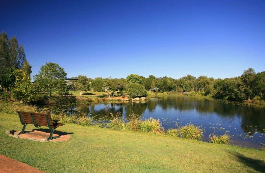 176 Balgownie Drive, Peregian Springs QLD 4573, Peregian Springs - Thumbnail 5