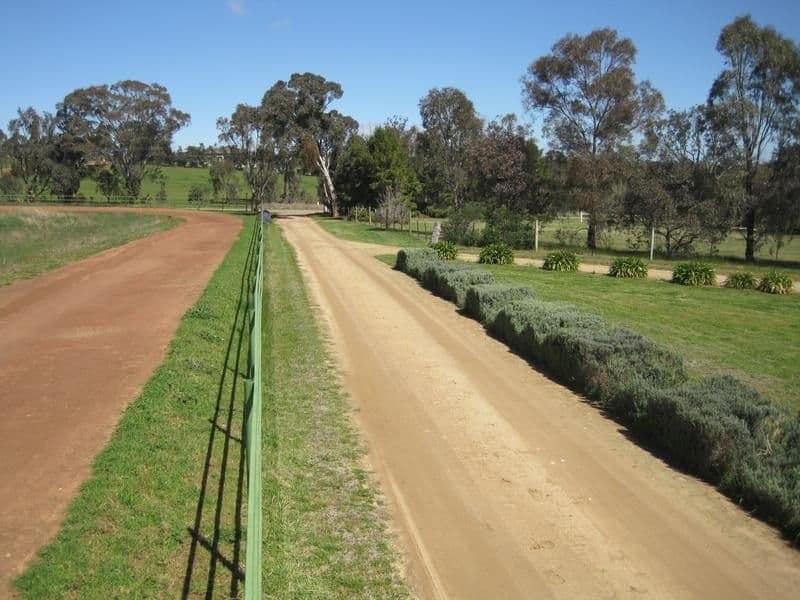 59 Chums Lane, YOUNG NSW 2594, Young - Thumbnail 7