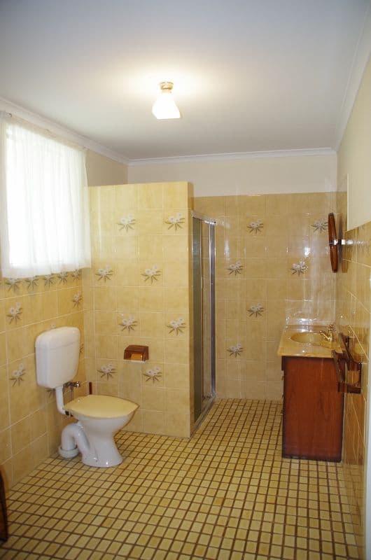 203 Fourteenth Street, Renmark SA 5341, Renmark - Thumbnail 8