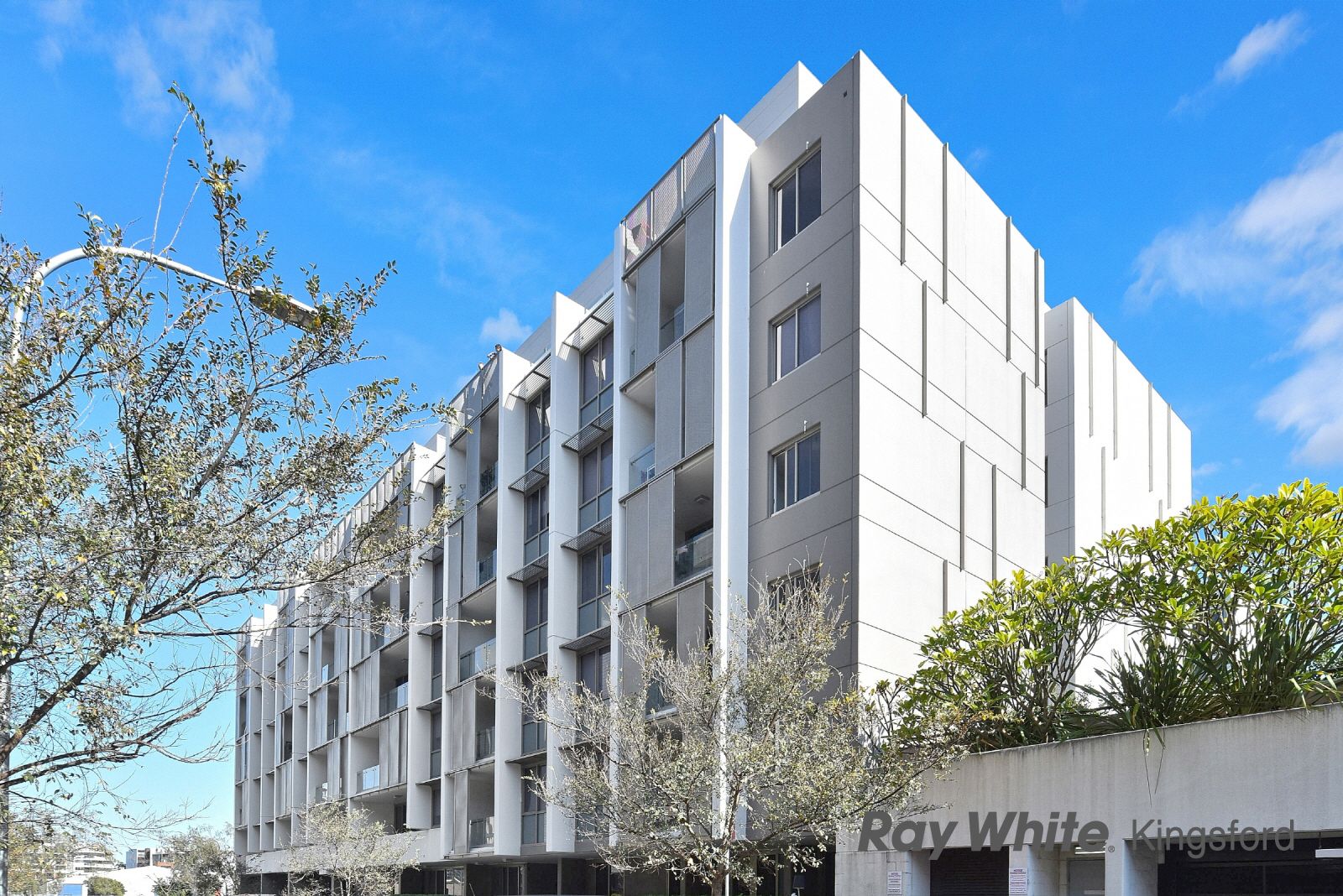 19 Grandstand Parade, Zetland NSW 2017, Zetland - Thumbnail 8