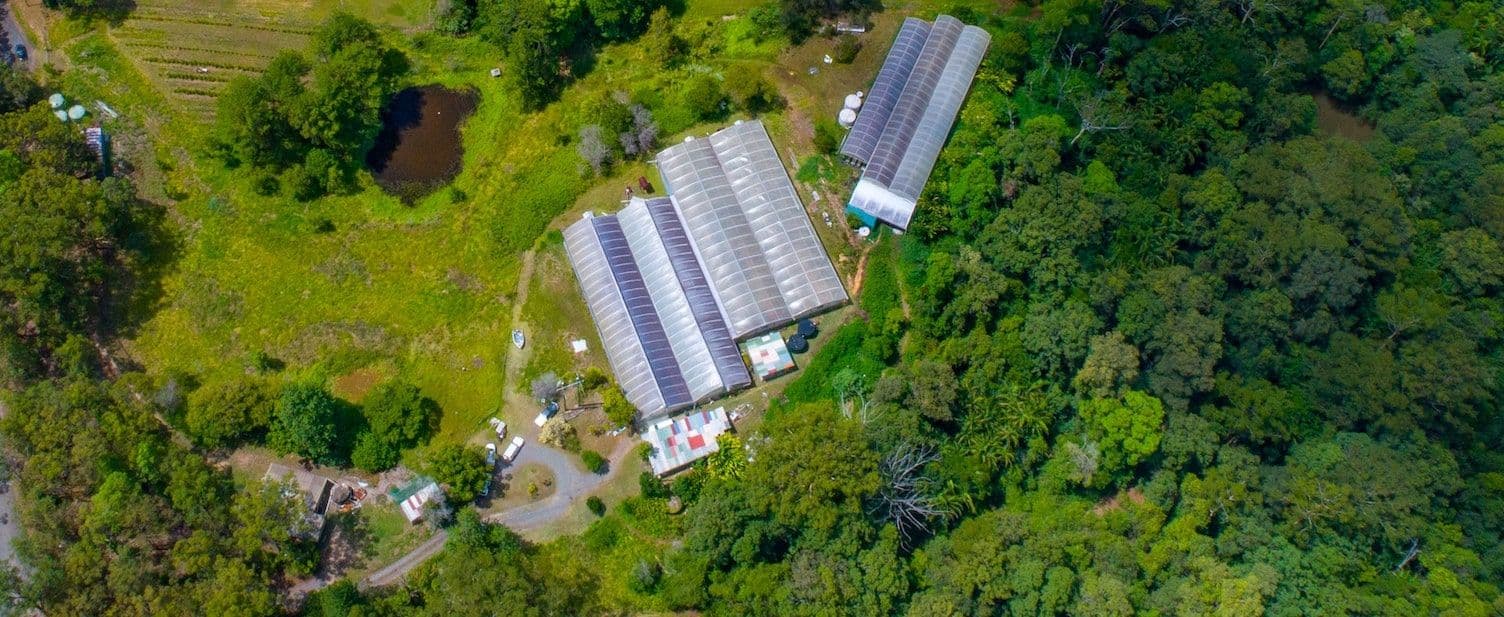 Lot 3 of 87-95 Robinsons Road, Eudlo QLD 4554, Eudlo - Image 1