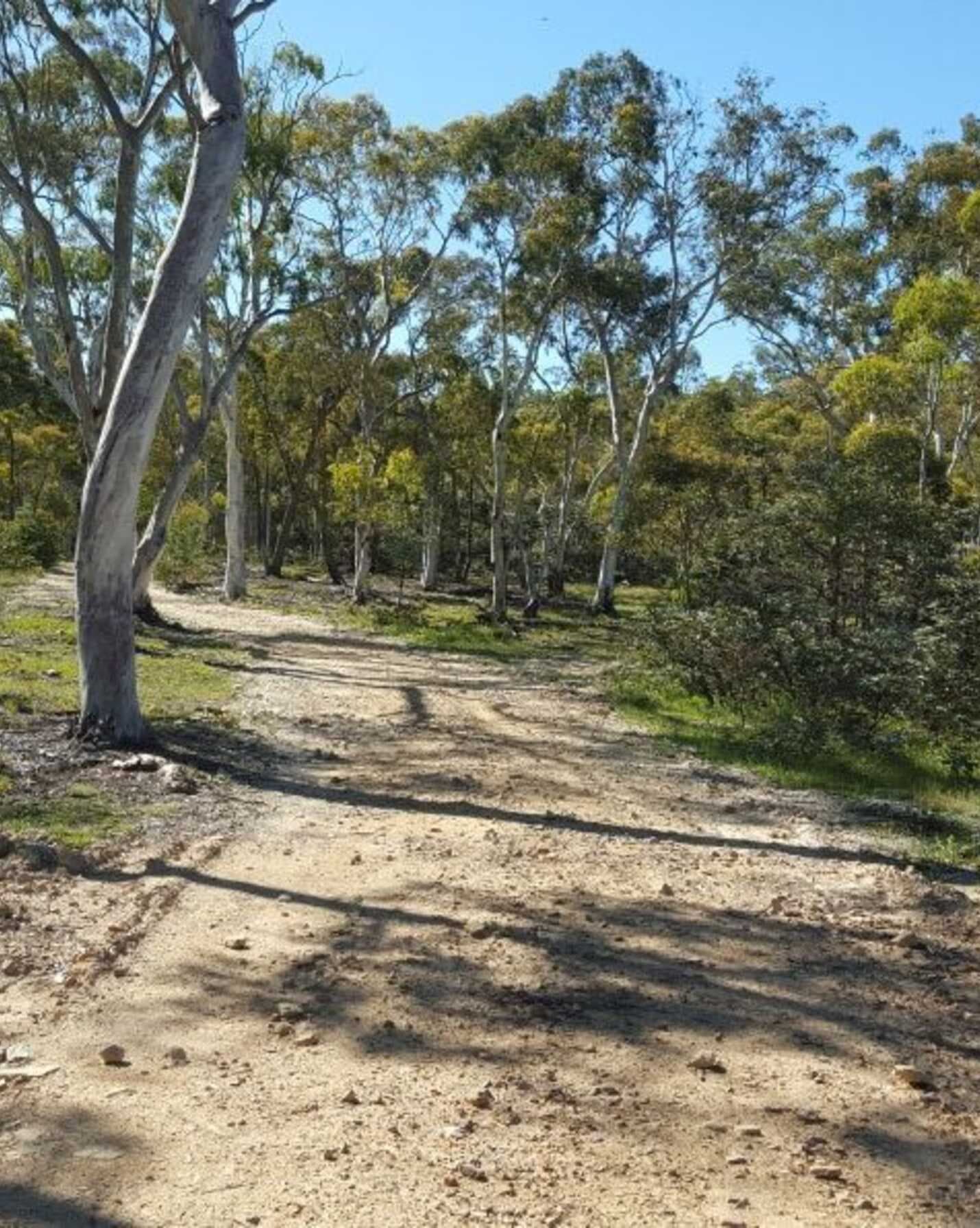 199 Tarlo River Road Greenwich Park, Park - Image 1