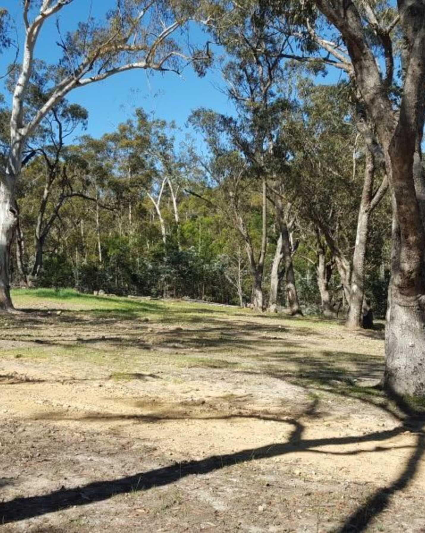 199 Tarlo River Road Greenwich Park, Park - Thumbnail 6