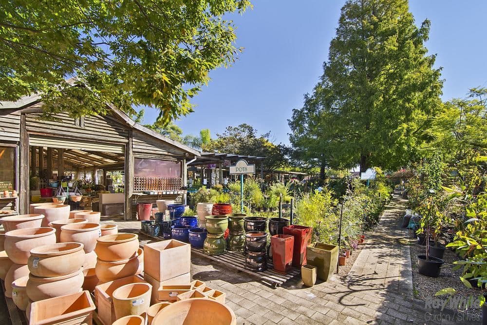 405-407 Mona Vale Road, St Ives NSW 2075, St Ives - Image 1