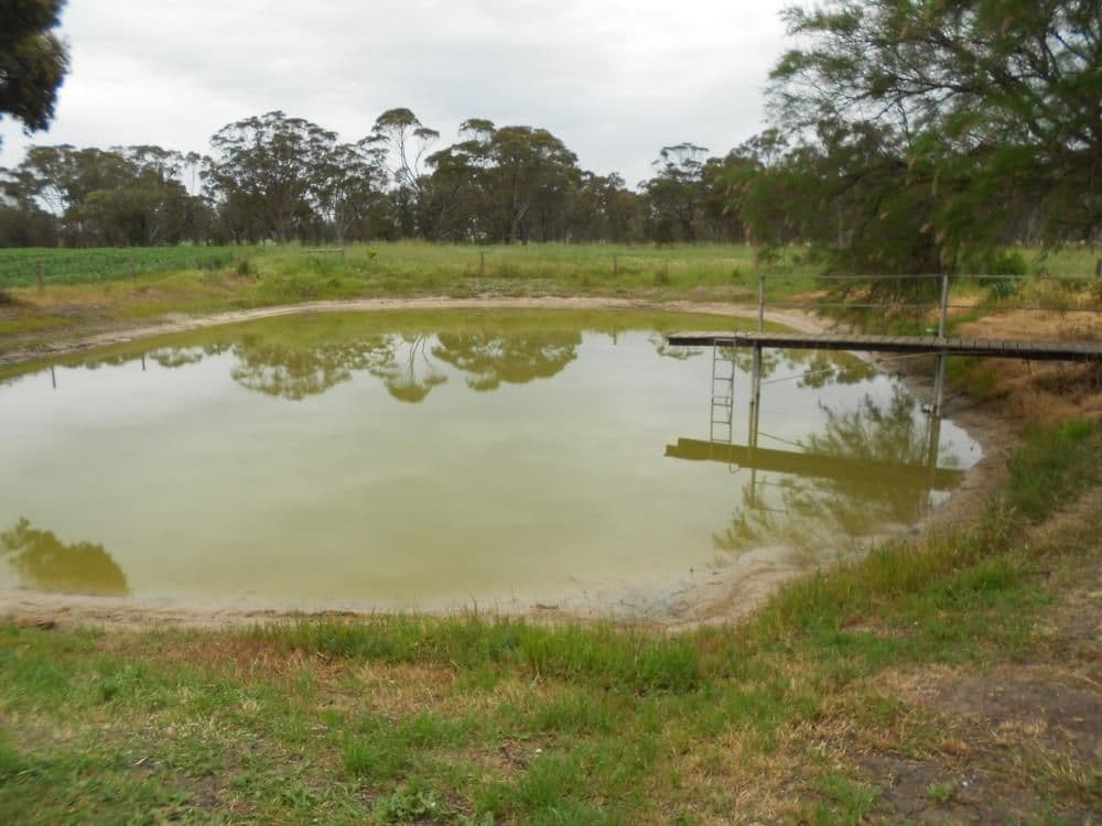 1339  (Lot 52) Frances Road, Bordertown SA 5268, Bordertown - Thumbnail 5