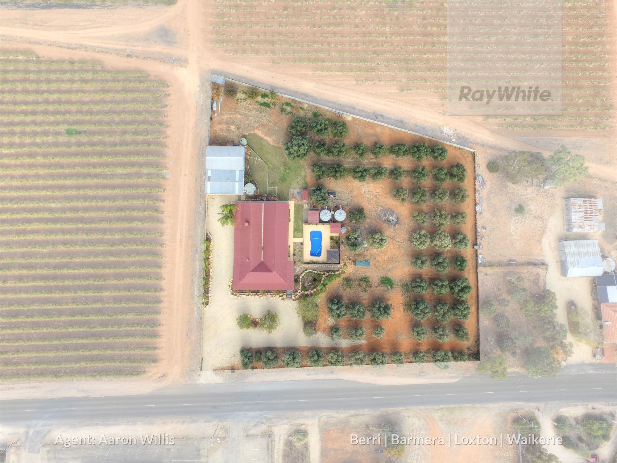 30 Alamein Avenue, Loxton SA 5333, Loxton North - Thumbnail 4