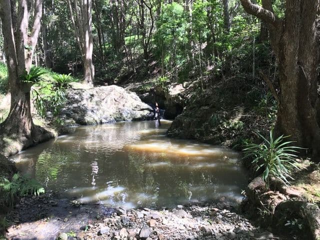 2 Dooloom Drive, Currumbin Valley QLD 4223, Currumbin Valley - Thumbnail 4
