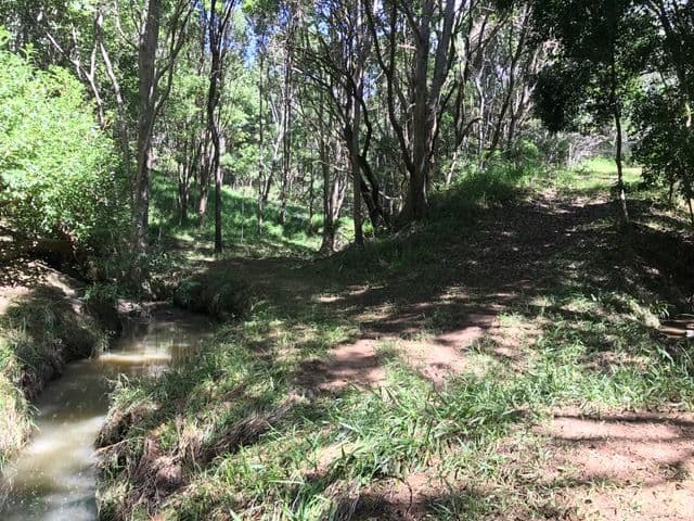 2 Dooloom Drive, Currumbin Valley QLD 4223, Currumbin Valley - Thumbnail 8