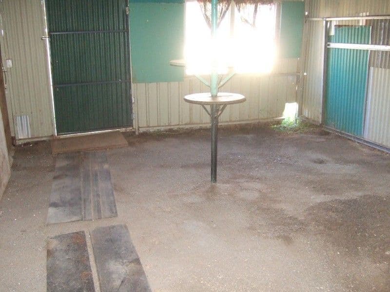 79 Burke Street, BROKEN HILL NSW 2880, Broken Hill - Thumbnail 7