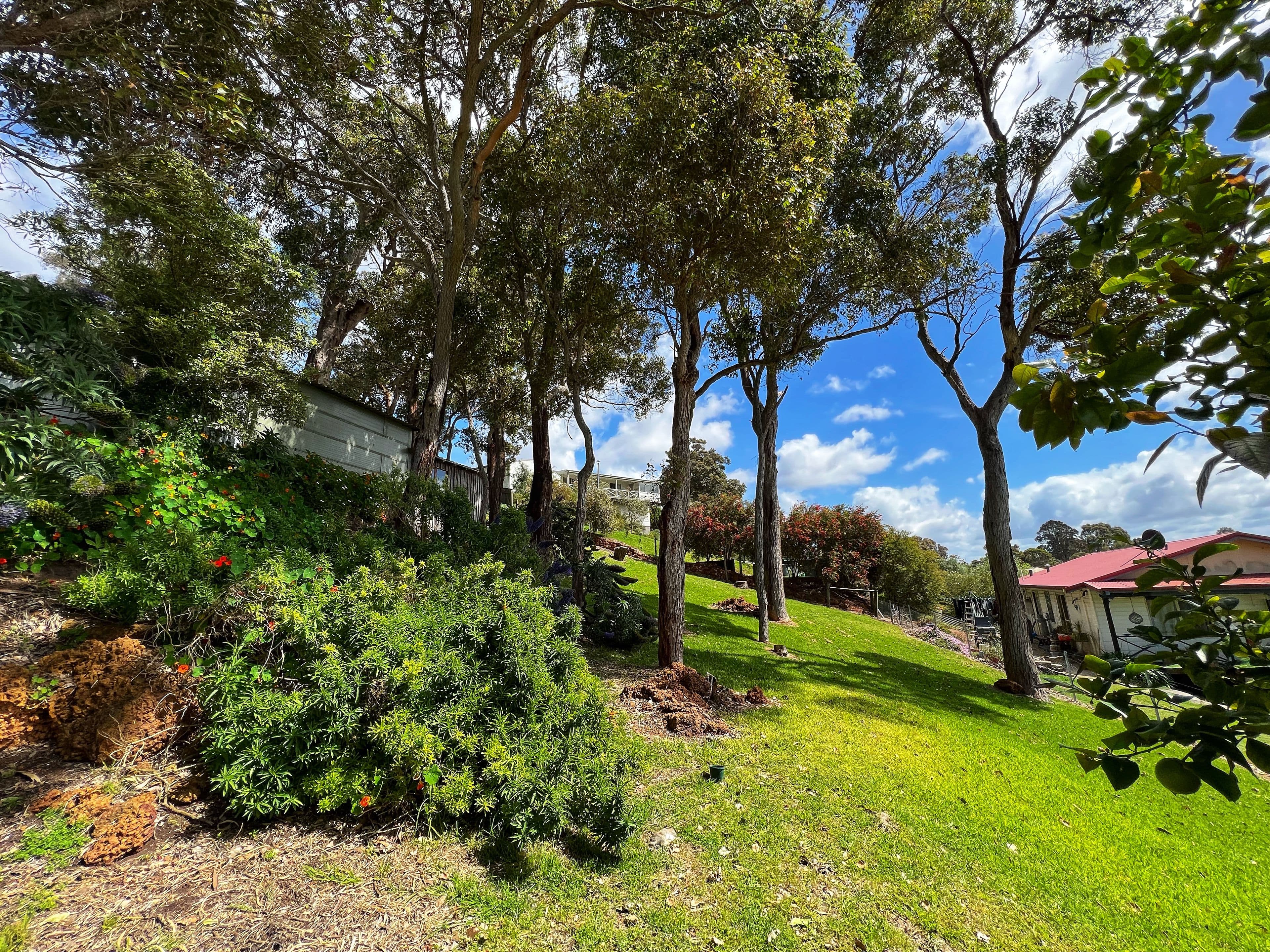 1 Koonwarra Close, Lower King WA 6330, Lower King - Thumbnail 4