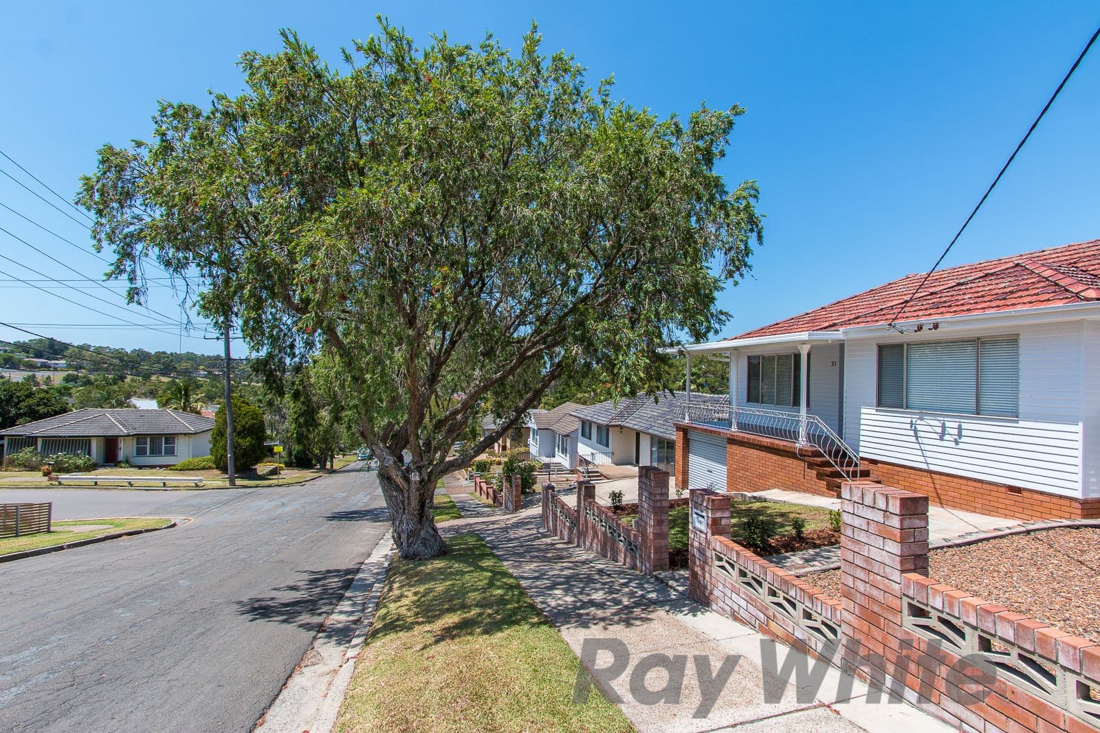 31 Merivale Street, North Lambton - Thumbnail 3