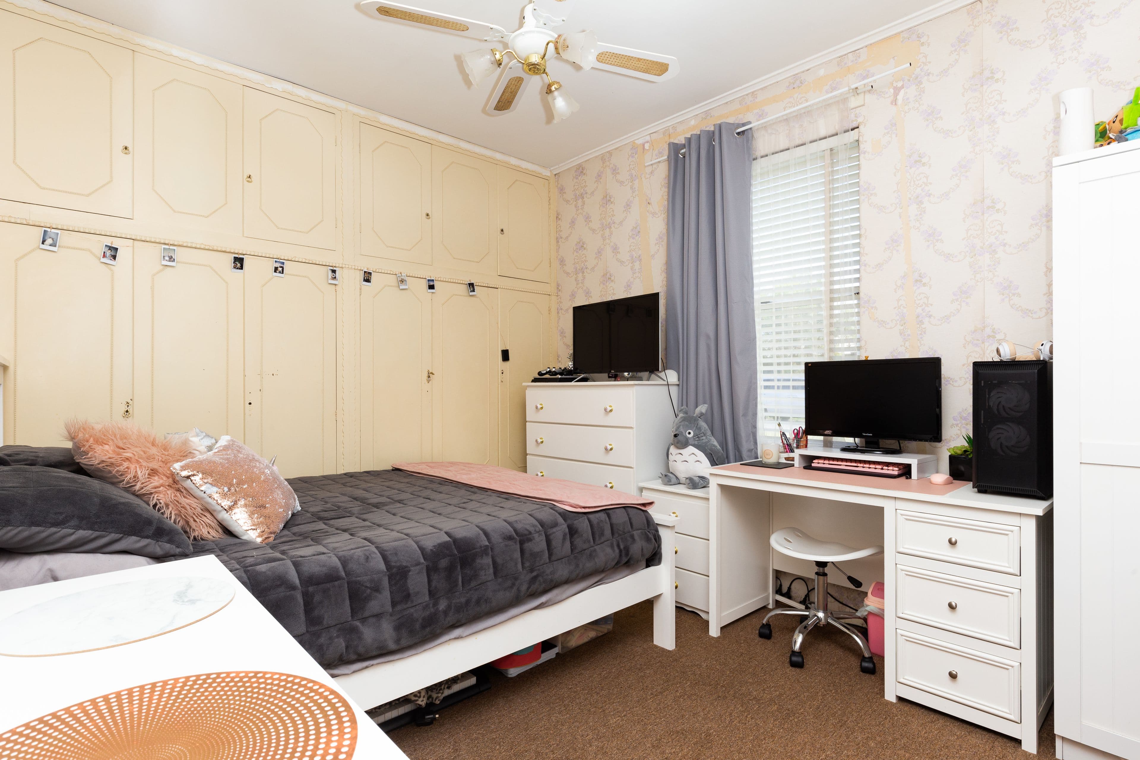 19 Alfred Avenue, Seaton SA 5023, Seaton - Thumbnail 6