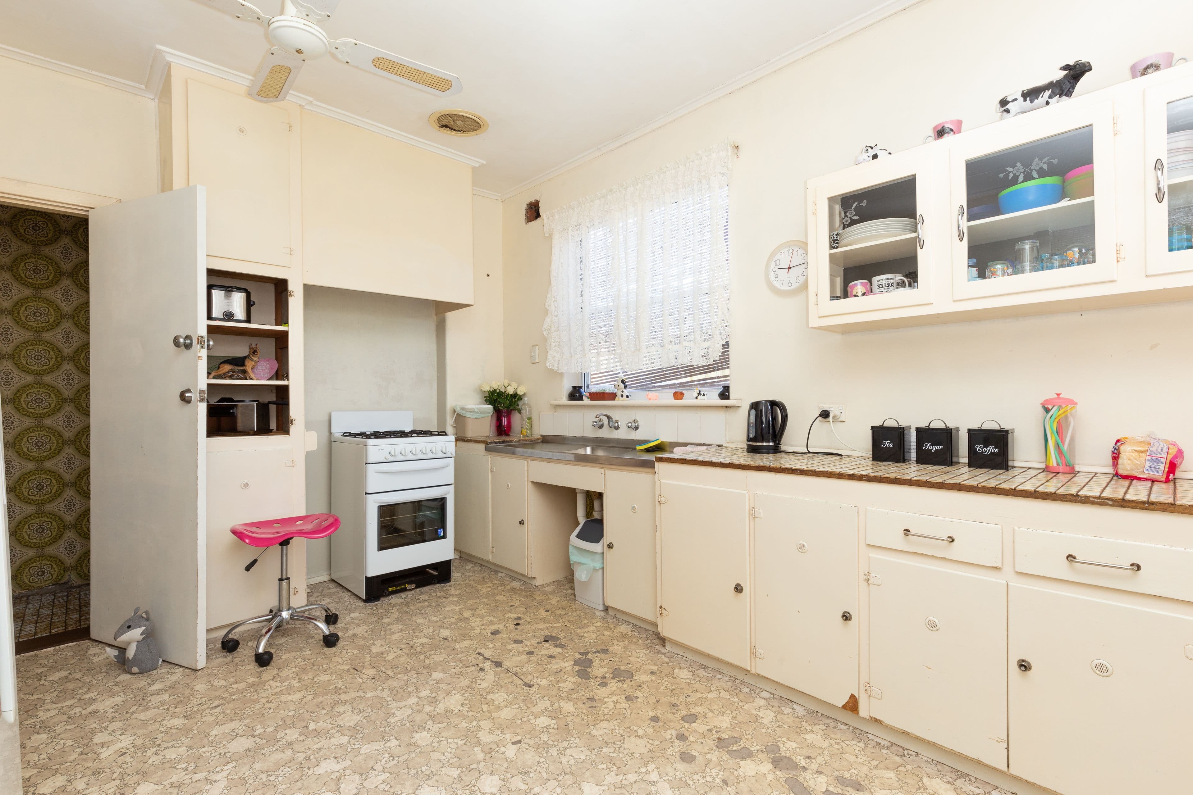 19 Alfred Avenue, Seaton SA 5023, Seaton - Thumbnail 7