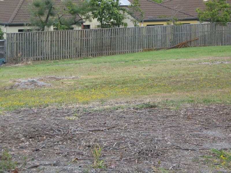 16 Therese Mary Avenue, CARRARA QLD 4211, Carrara - Thumbnail 3