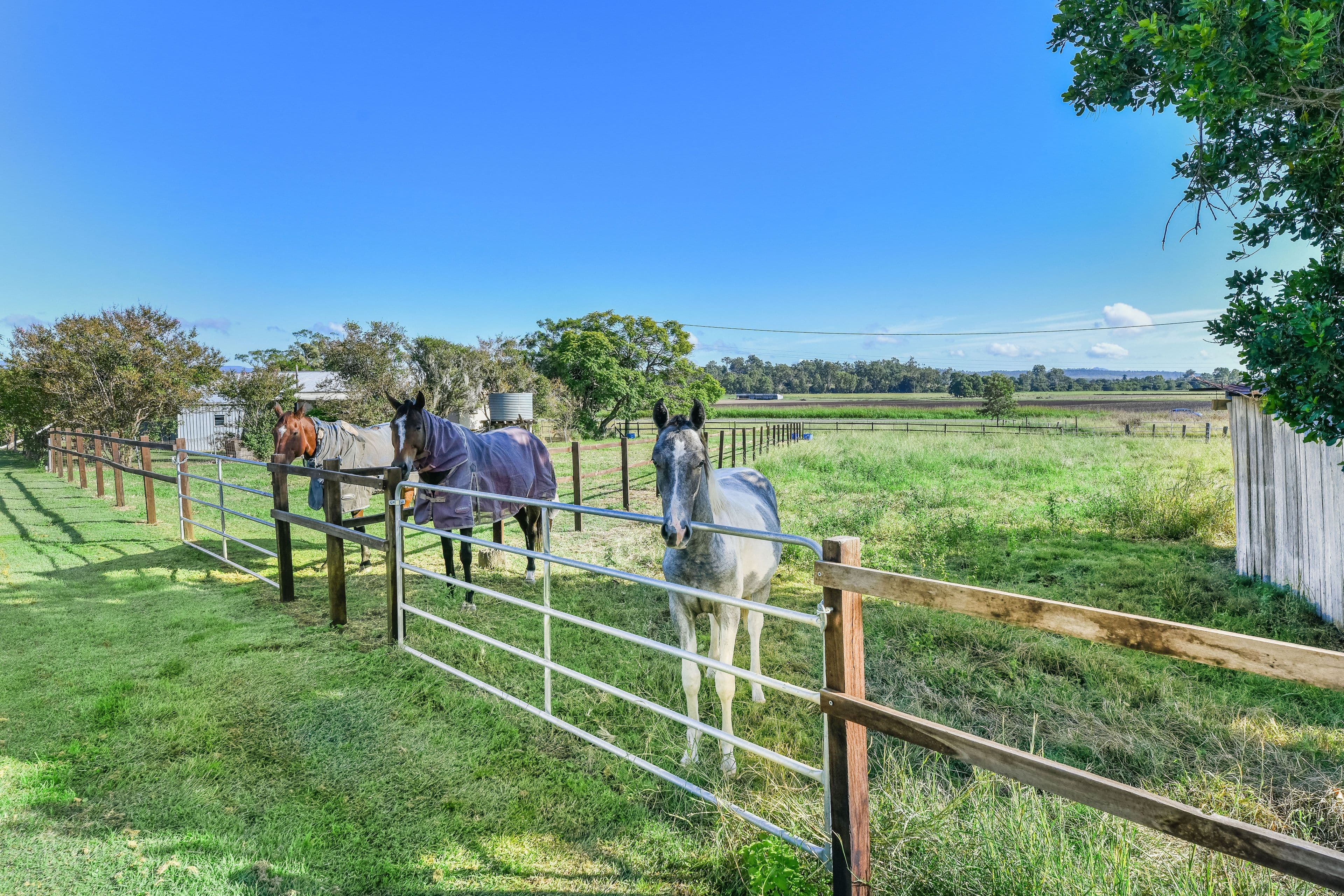 5 Peters Road, Fassifern Valley QLD 4309, Fassifern Valley - Thumbnail 5