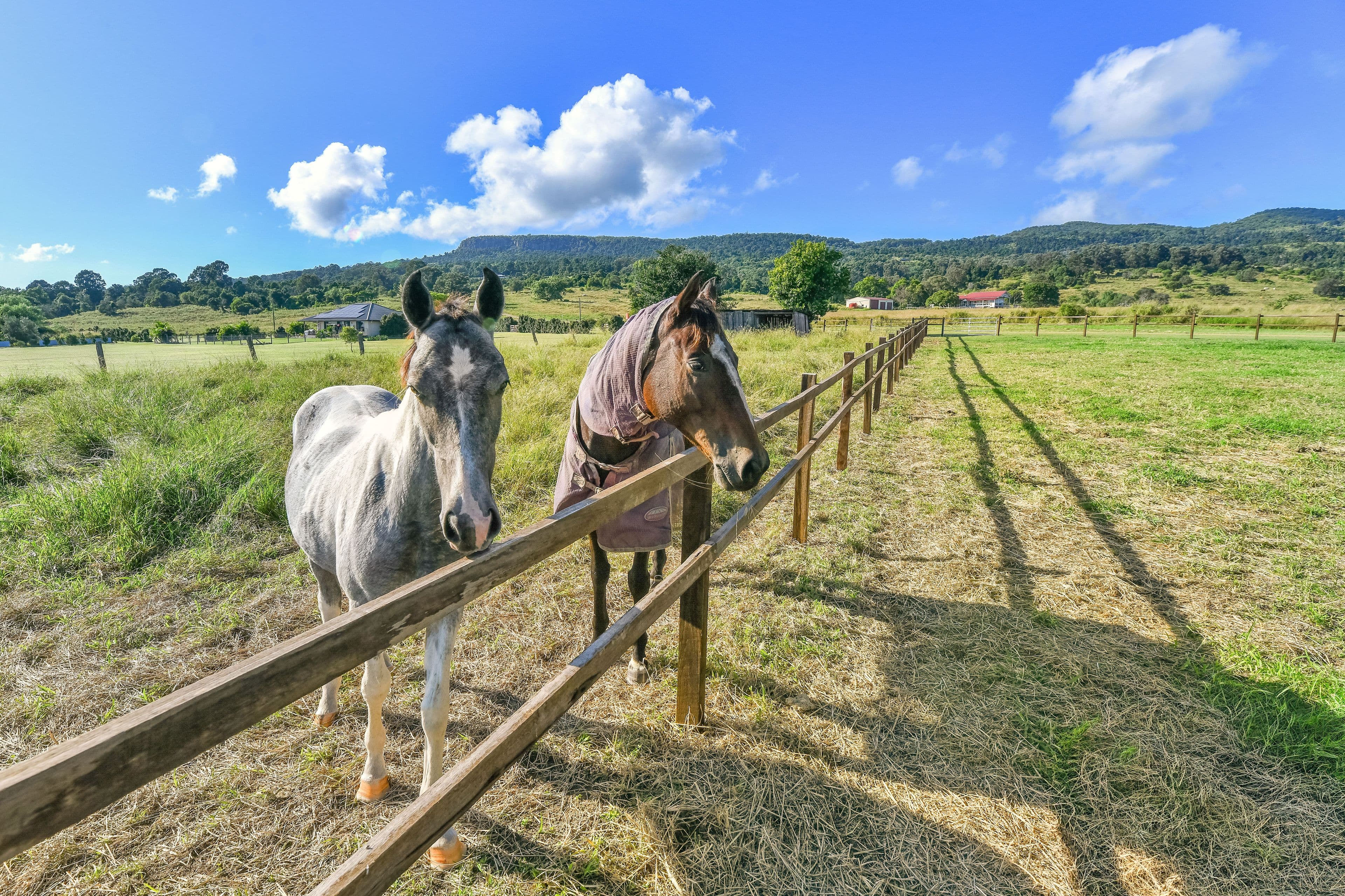5 Peters Road, Fassifern Valley QLD 4309, Fassifern Valley - Thumbnail 6