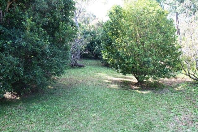283 MacDonnell Road, TAMBORINE MOUNTAIN QLD 4272, Tamborine Mountain - Thumbnail 4