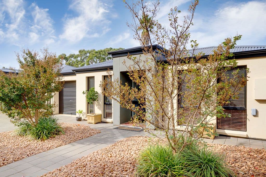 24B Crozier Terrace, OAKLANDS PARK SA 5046, Oaklands Park - Thumbnail 3