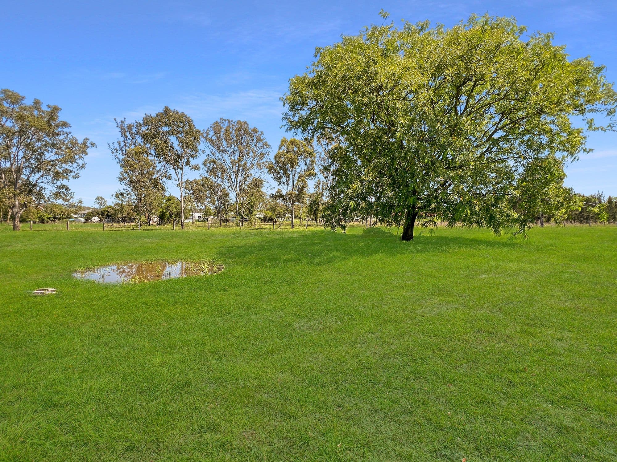 12 Bassett Lane, Rosewood QLD 4340, Rosewood - Thumbnail 5