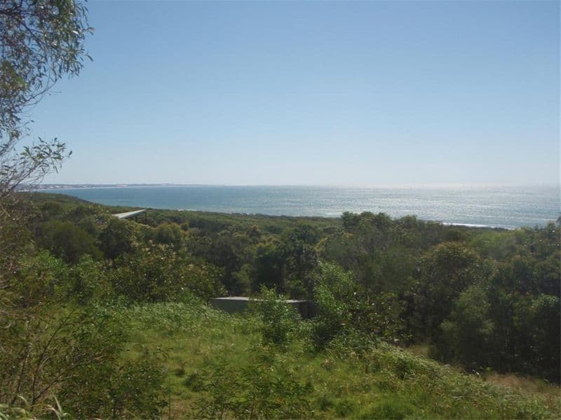 4 Willis Street, Oakdale, NSW, 2570, Oakdale - Thumbnail 5