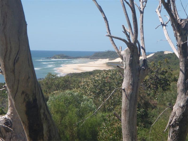 4 Willis Street, Oakdale, NSW, 2570, Oakdale - Thumbnail 7