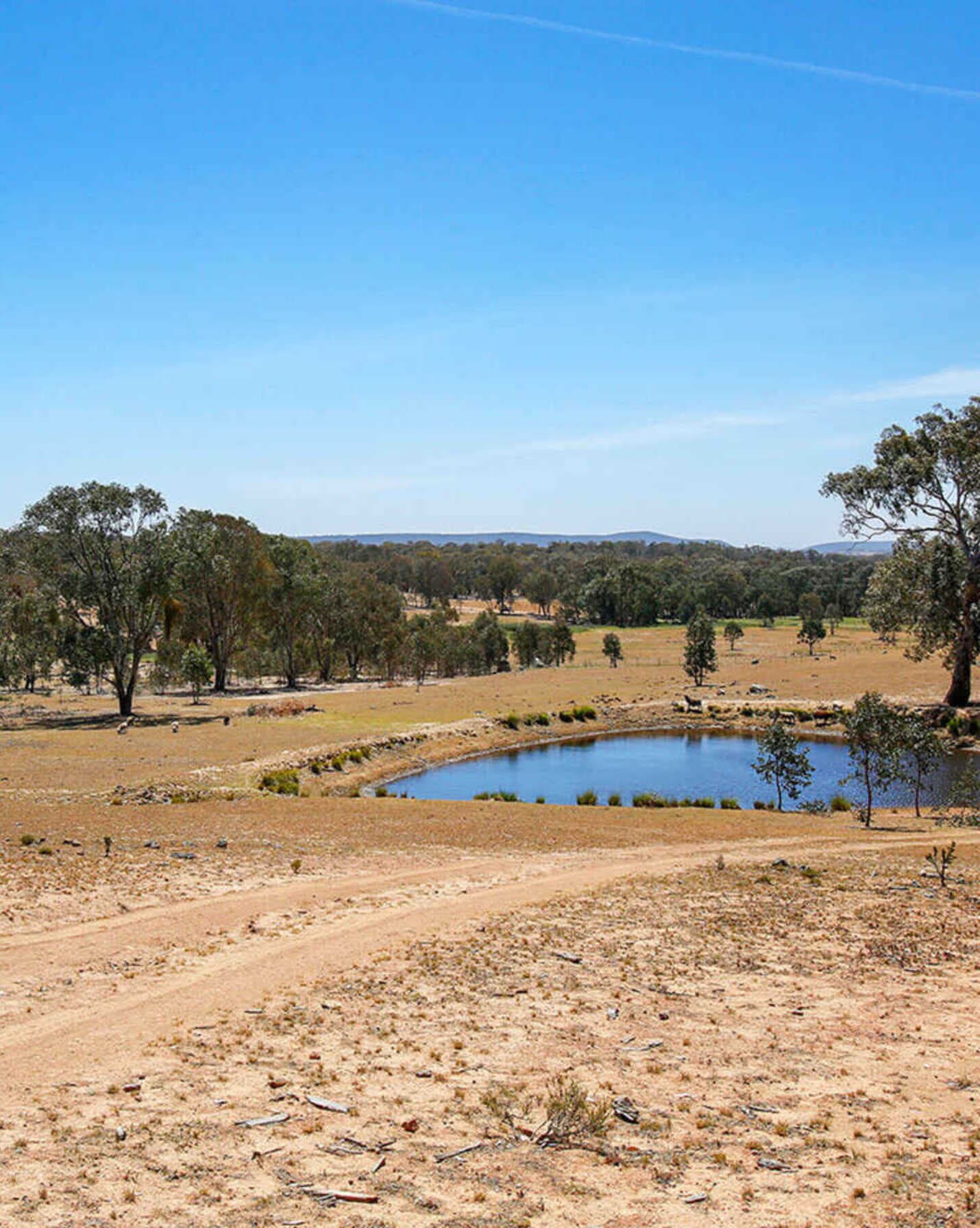 960 Woolpack Road Boorowa, Boorowa - Thumbnail 6