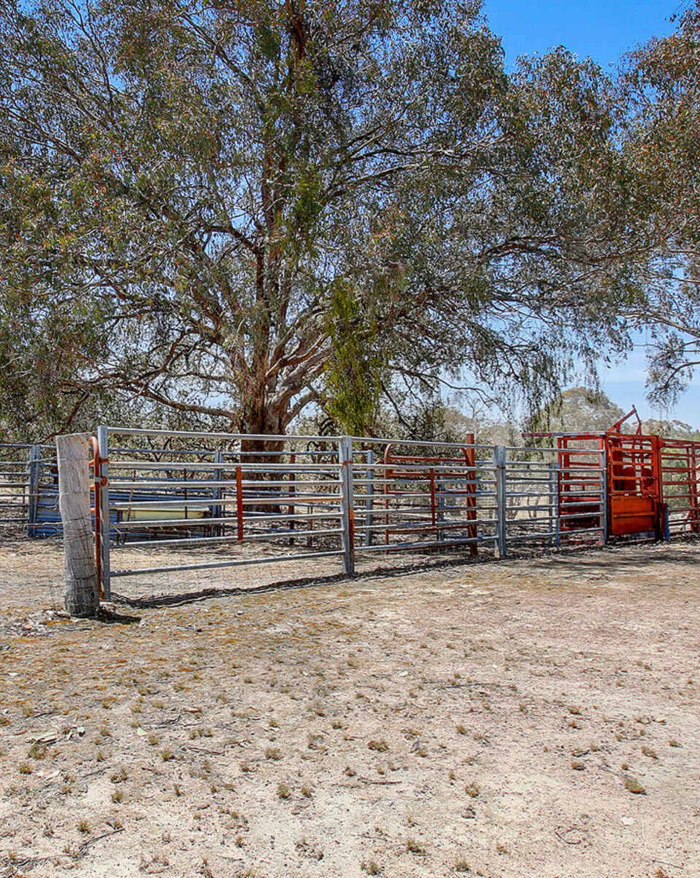 960 Woolpack Road Boorowa, Boorowa - Thumbnail 7