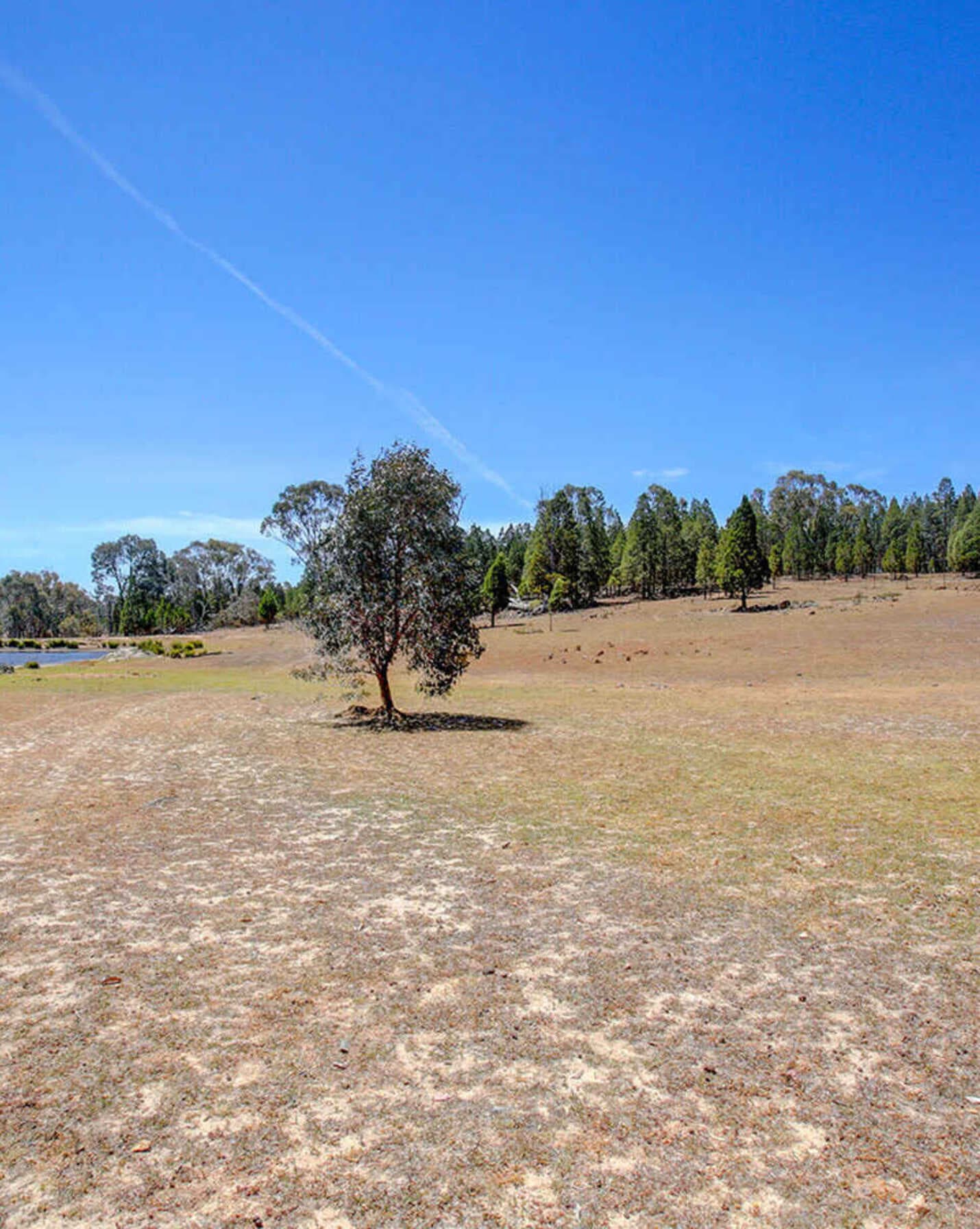 960 Woolpack Road Boorowa, Boorowa - Thumbnail 8