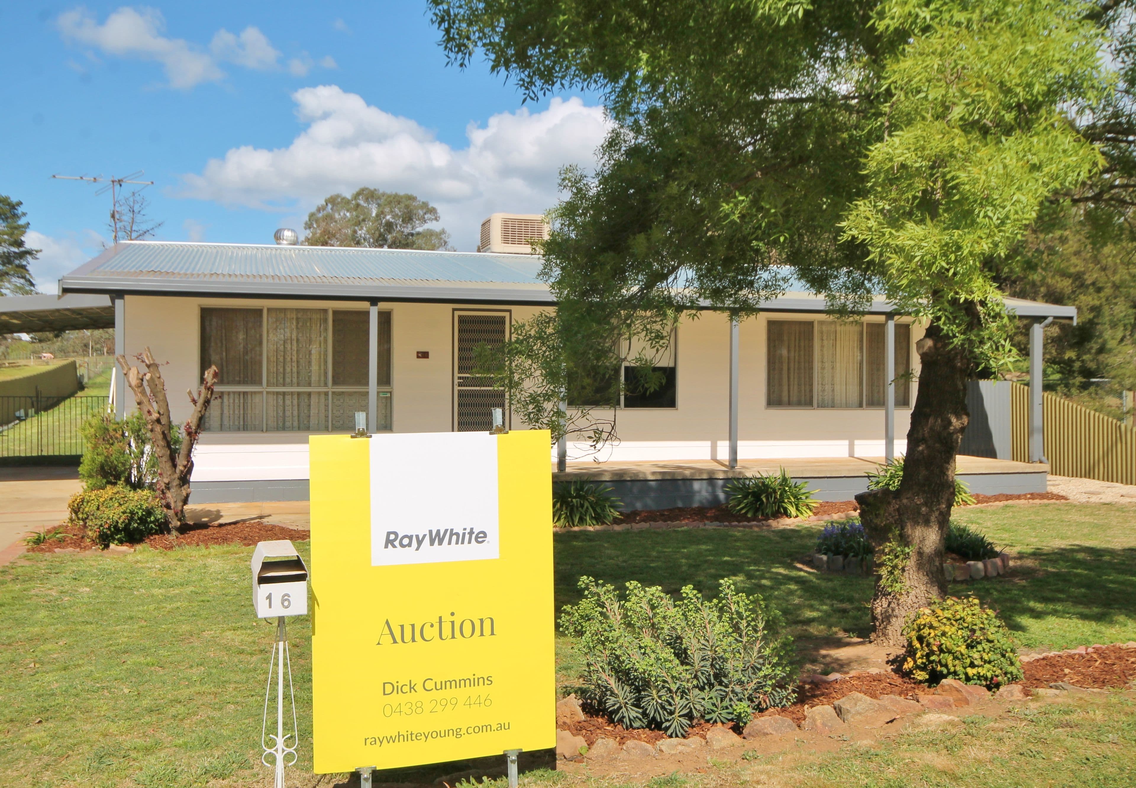 16 Briggs Street, Young NSW 2594, Young - Thumbnail 3