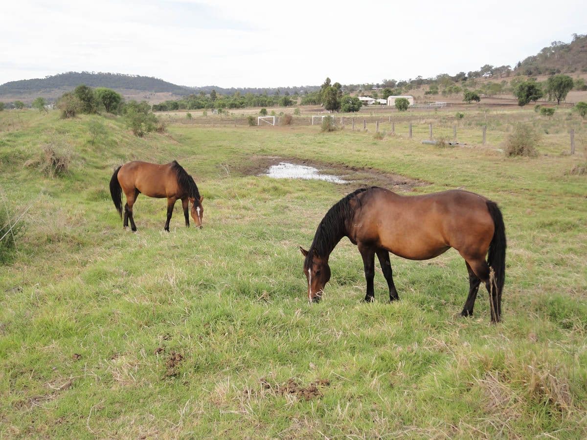 Lot 2 Gowrie LilyVale Road, Glencoe QLD 4352, Glencoe - Thumbnail 3