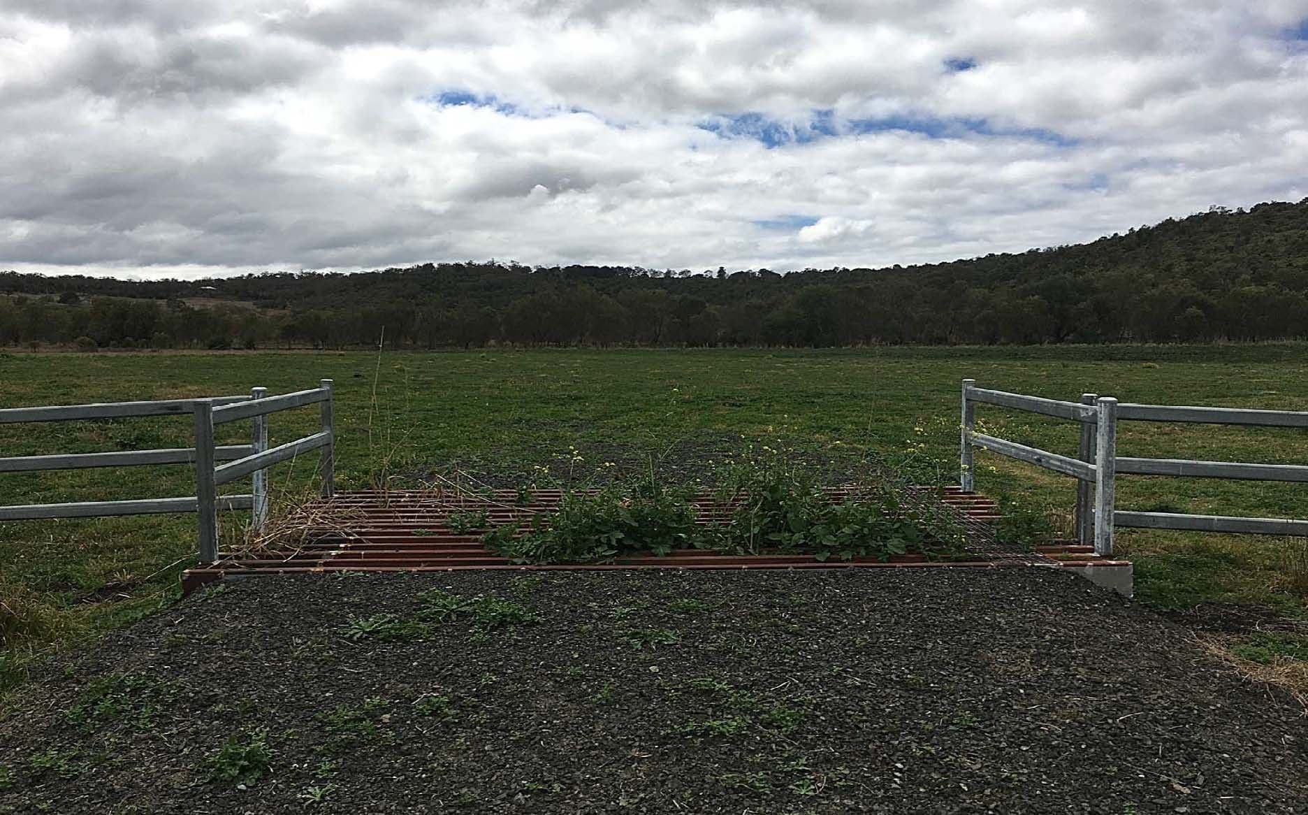 Lot 2 Gowrie LilyVale Road, Glencoe QLD 4352, Glencoe - Thumbnail 6