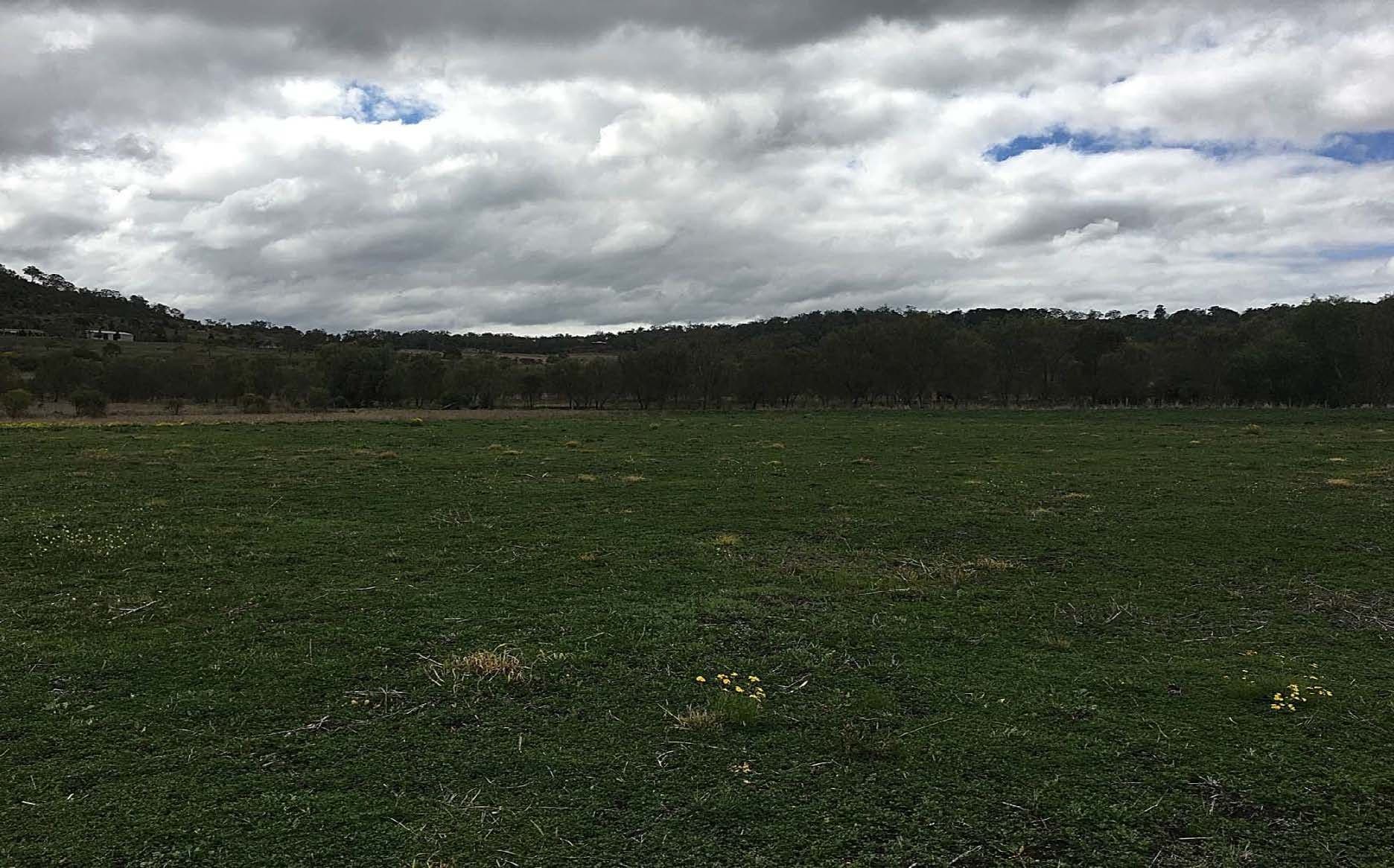 Lot 2 Gowrie LilyVale Road, Glencoe QLD 4352, Glencoe - Thumbnail 8
