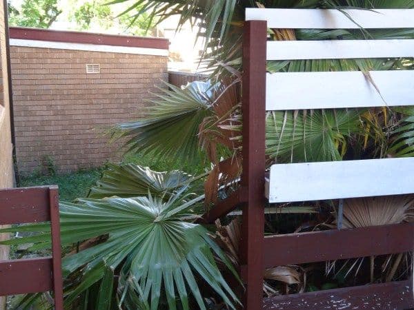 WARWICK FARM NSW 2170, Warwick Farm - Thumbnail 5