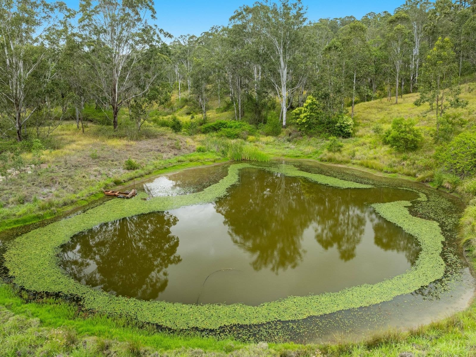 45 Murphys Road, Bean Creek, NSW 2469, Bean Creek - Thumbnail 6