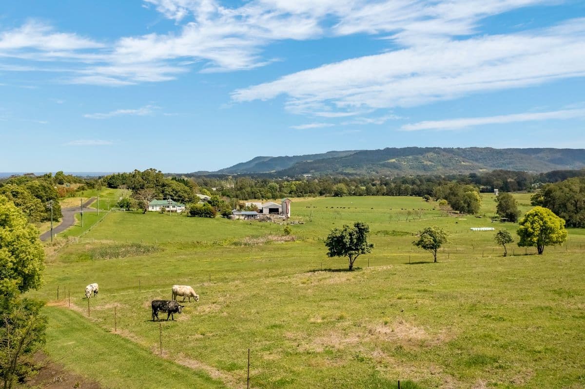 96 Homestead Lane, Berry NSW 2535, Berry - Thumbnail 3
