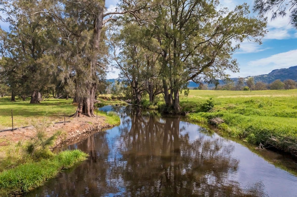 96 Homestead Lane, Berry NSW 2535, Berry - Thumbnail 5