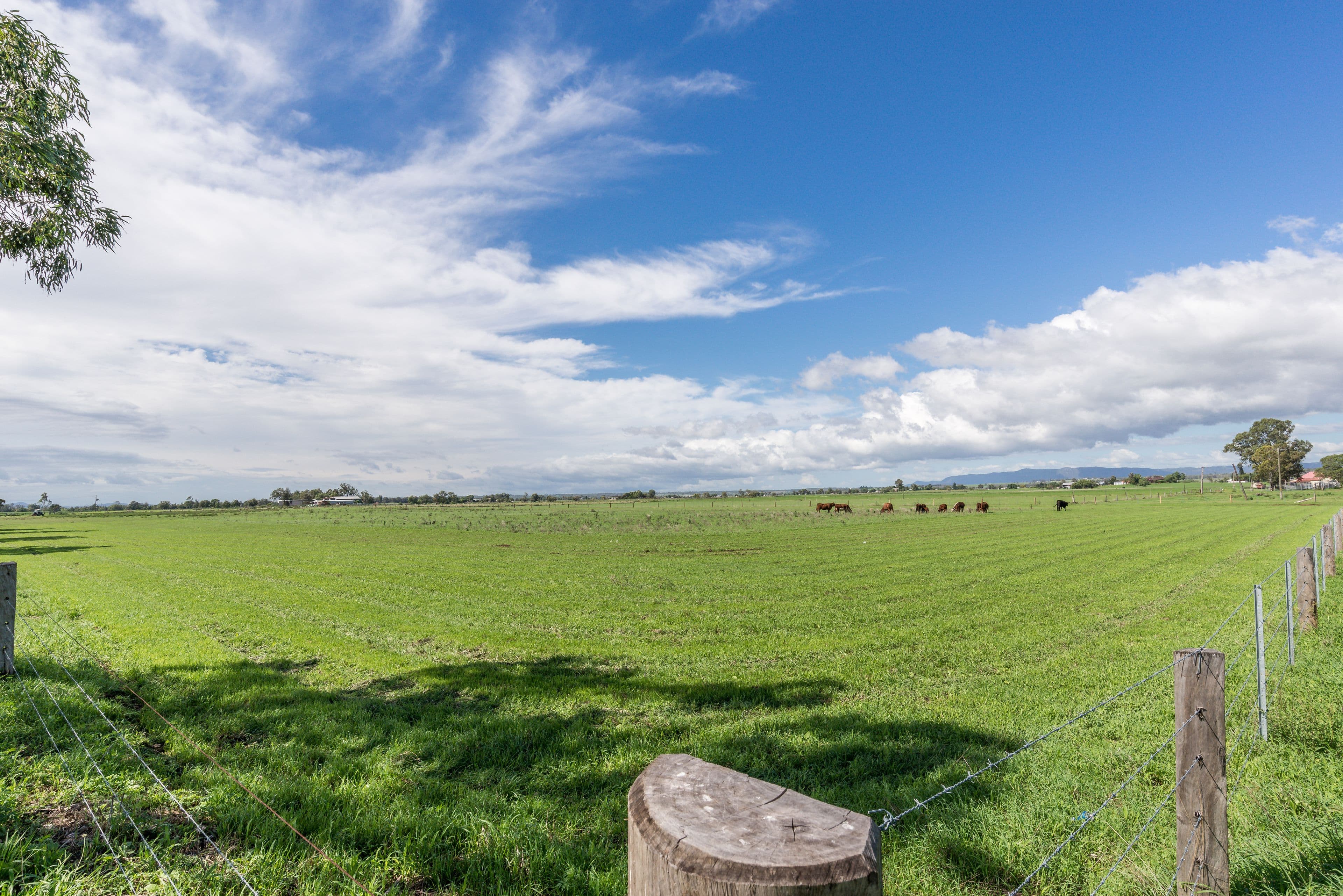 Lot 1 Greenwood Avenue, Singleton NSW 2330, Singleton - Thumbnail 3