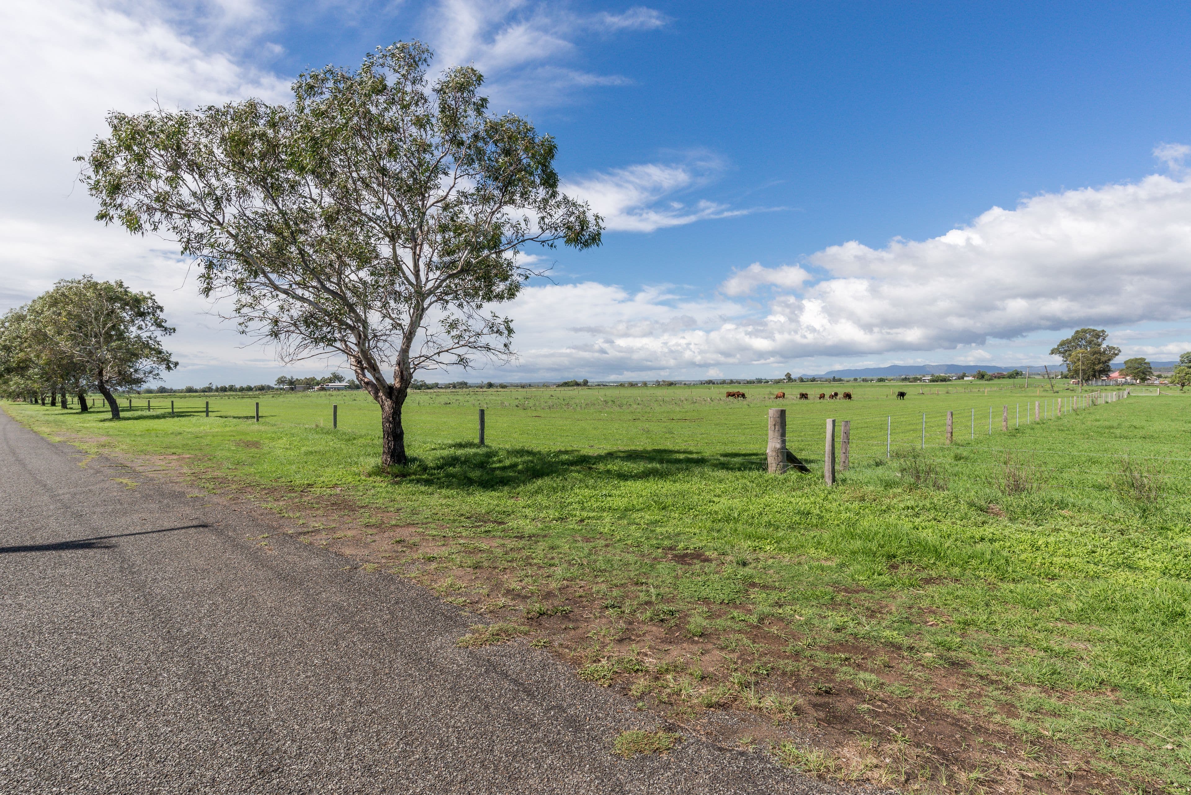 Lot 1 Greenwood Avenue, Singleton NSW 2330, Singleton - Thumbnail 4