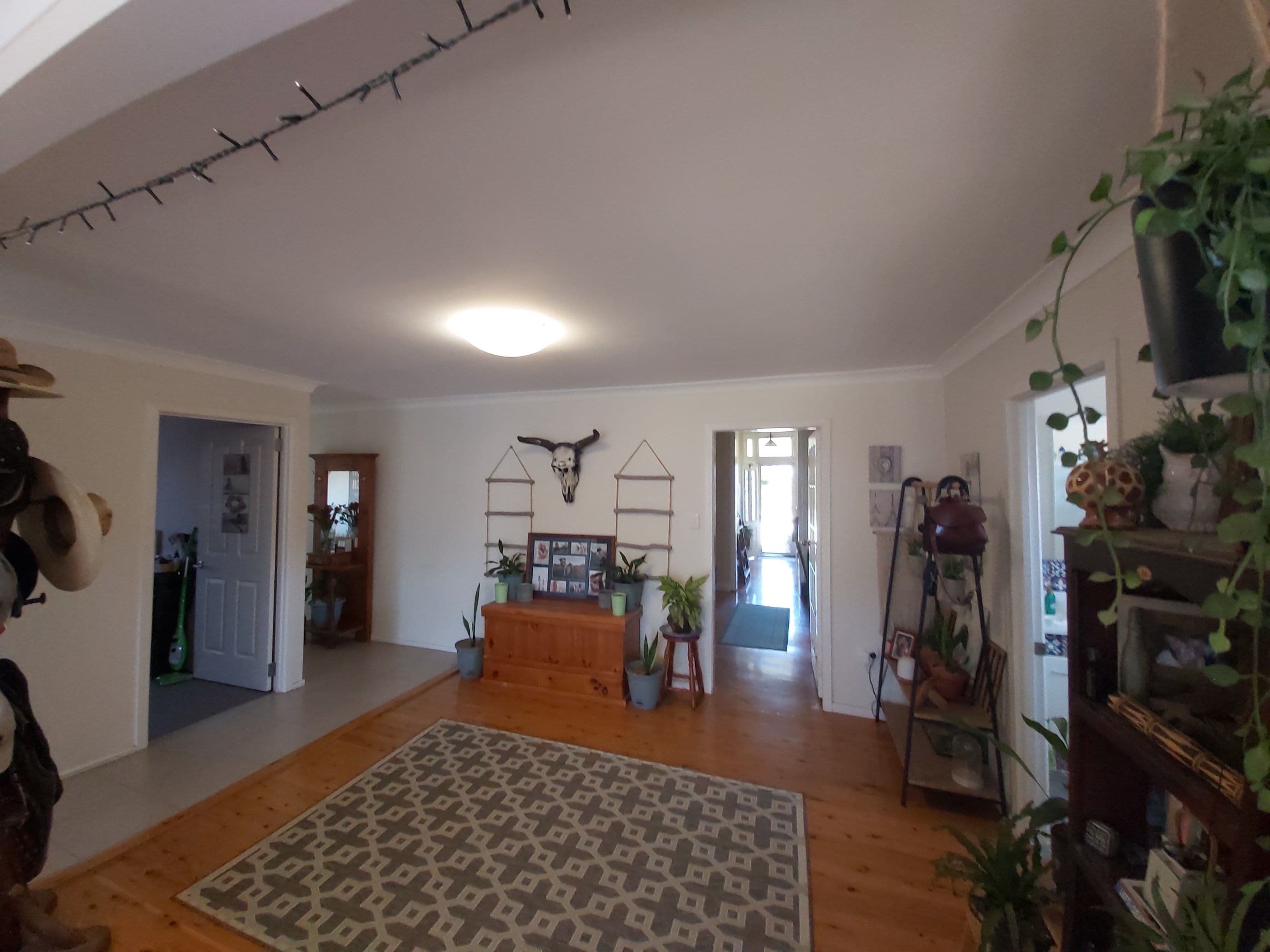 42 OShea Avenue, Southbrook QLD 4363, Southbrook - Thumbnail 8